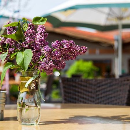 Appartamento Gaenschen Klein Ellscheid Esterno foto